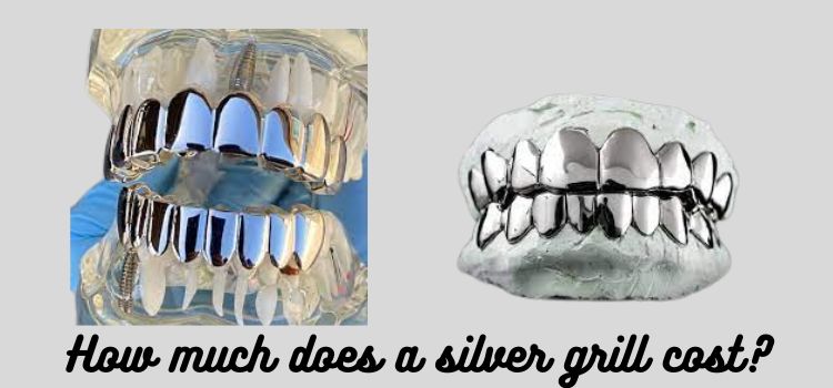 How much does a silver grill cost
