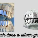 How much does a silver grill cost