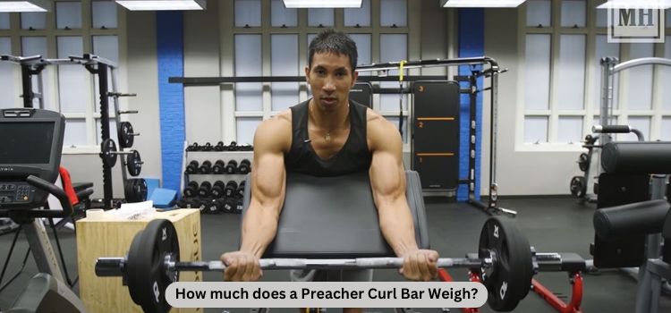 How much does a preacher curl bar weigh?